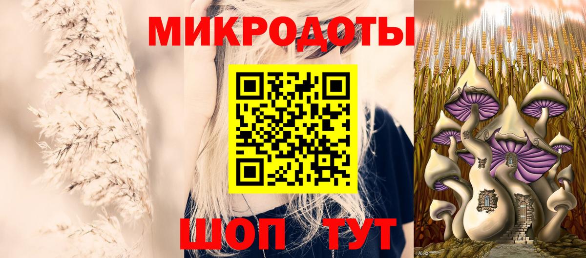 Щёлково  Псилоцибиновые грибы Psilocybine cubensis  Вход с VPN 